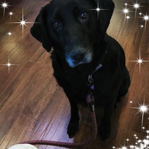 Meet your Posher, Margaret